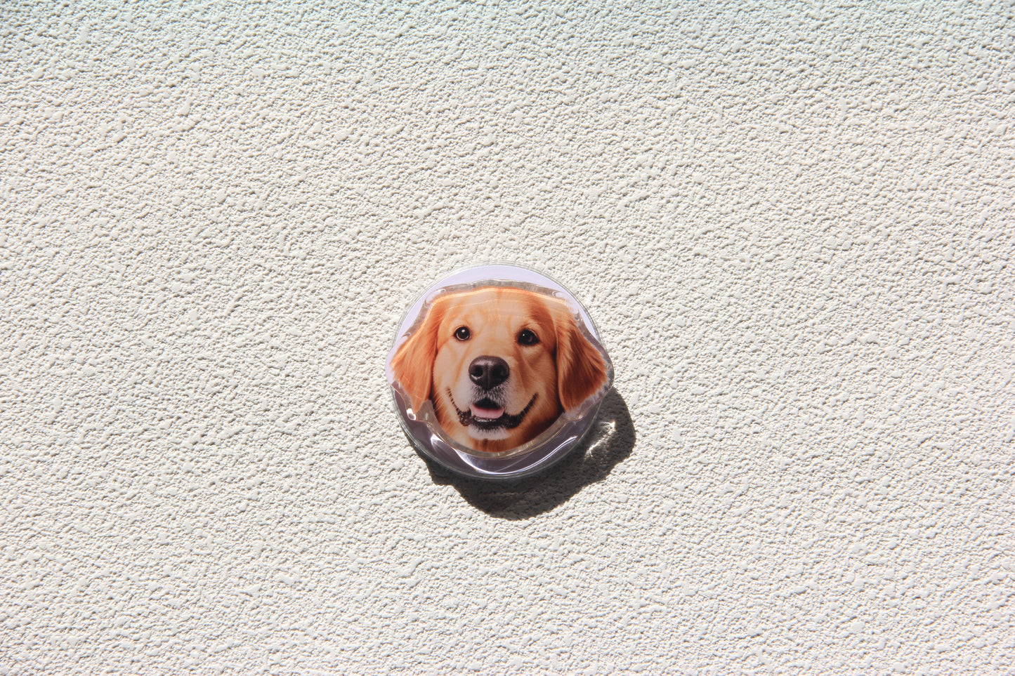 Custom Pet Portrait Fridge Magnet